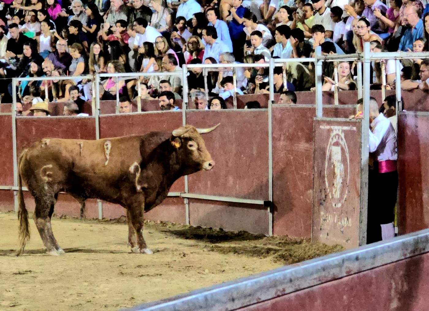 Concurso de recortes en Pozuelo