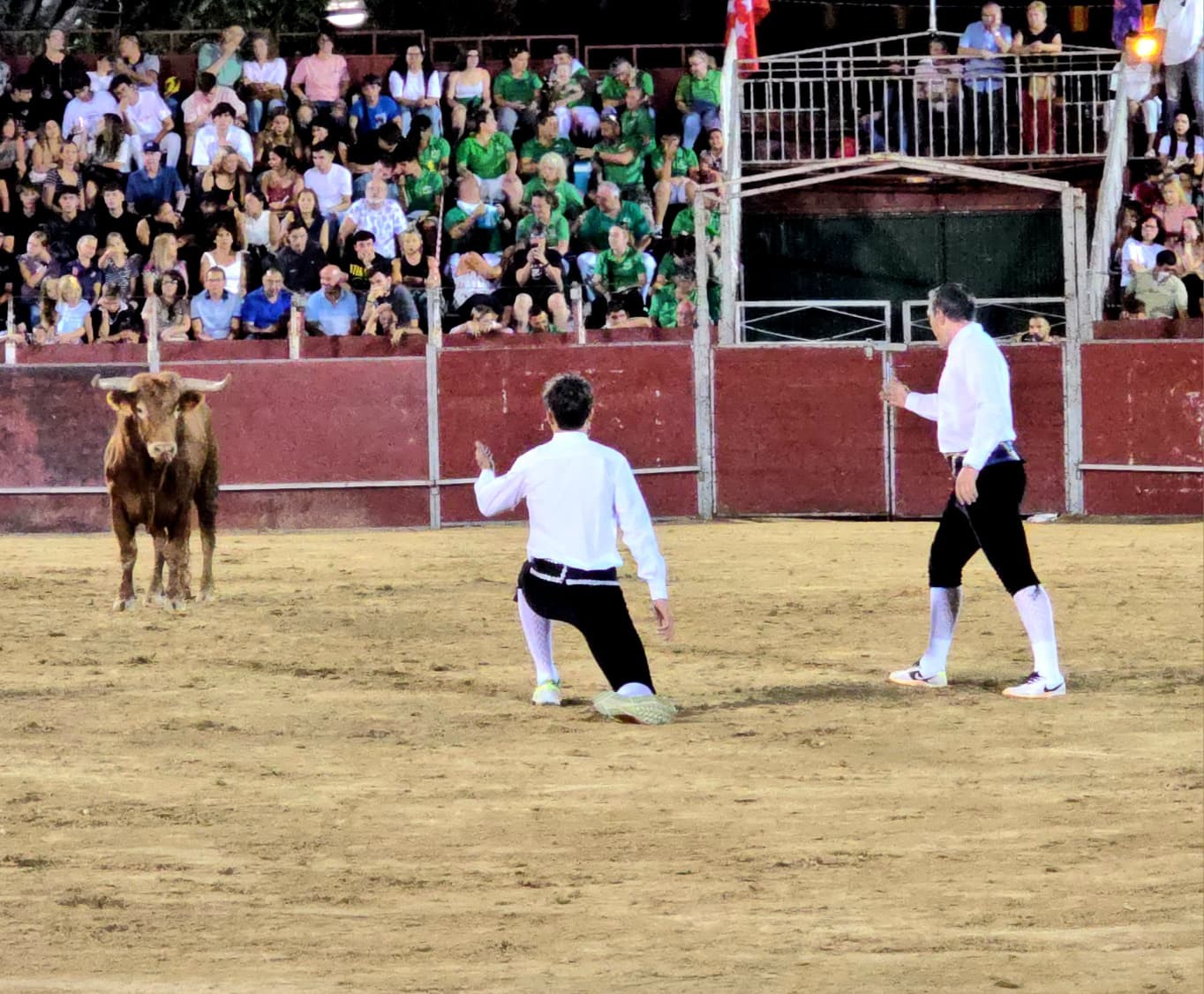 Concurso de recortes en Pozuelo
