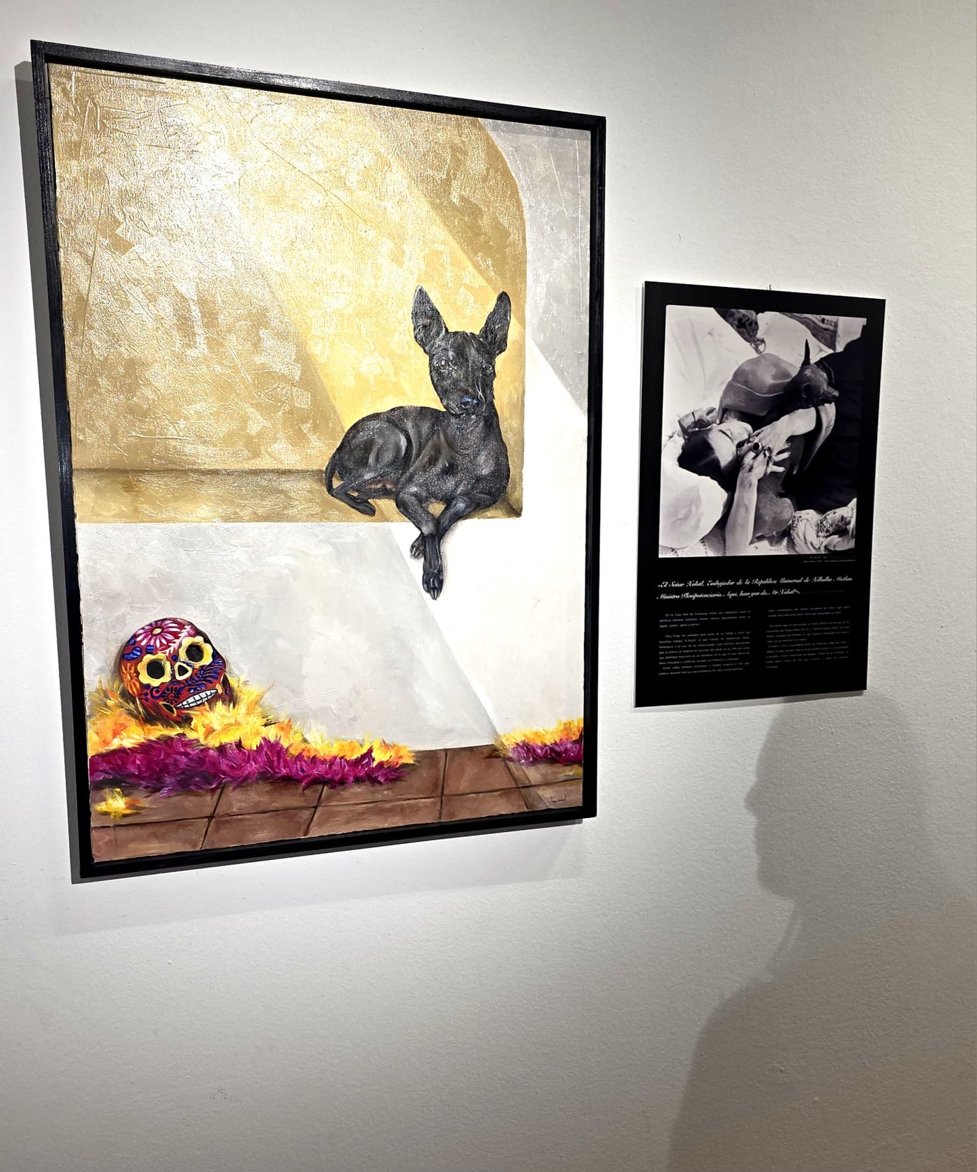 Exposición "Perros y Genios" en Pozuelo