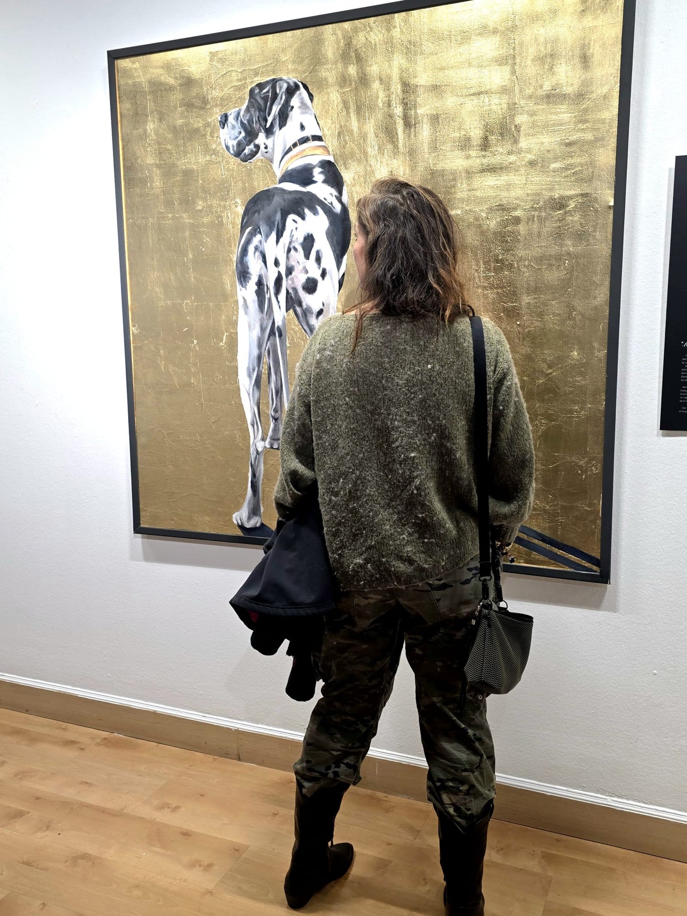 Exposición "Perros y Genios" en Pozuelo