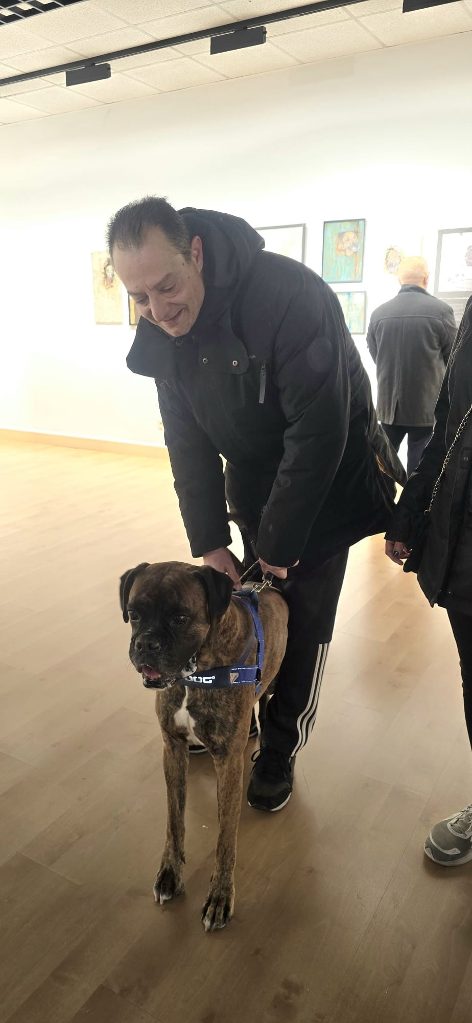 Exposición "Perros y Genios" en Pozuelo