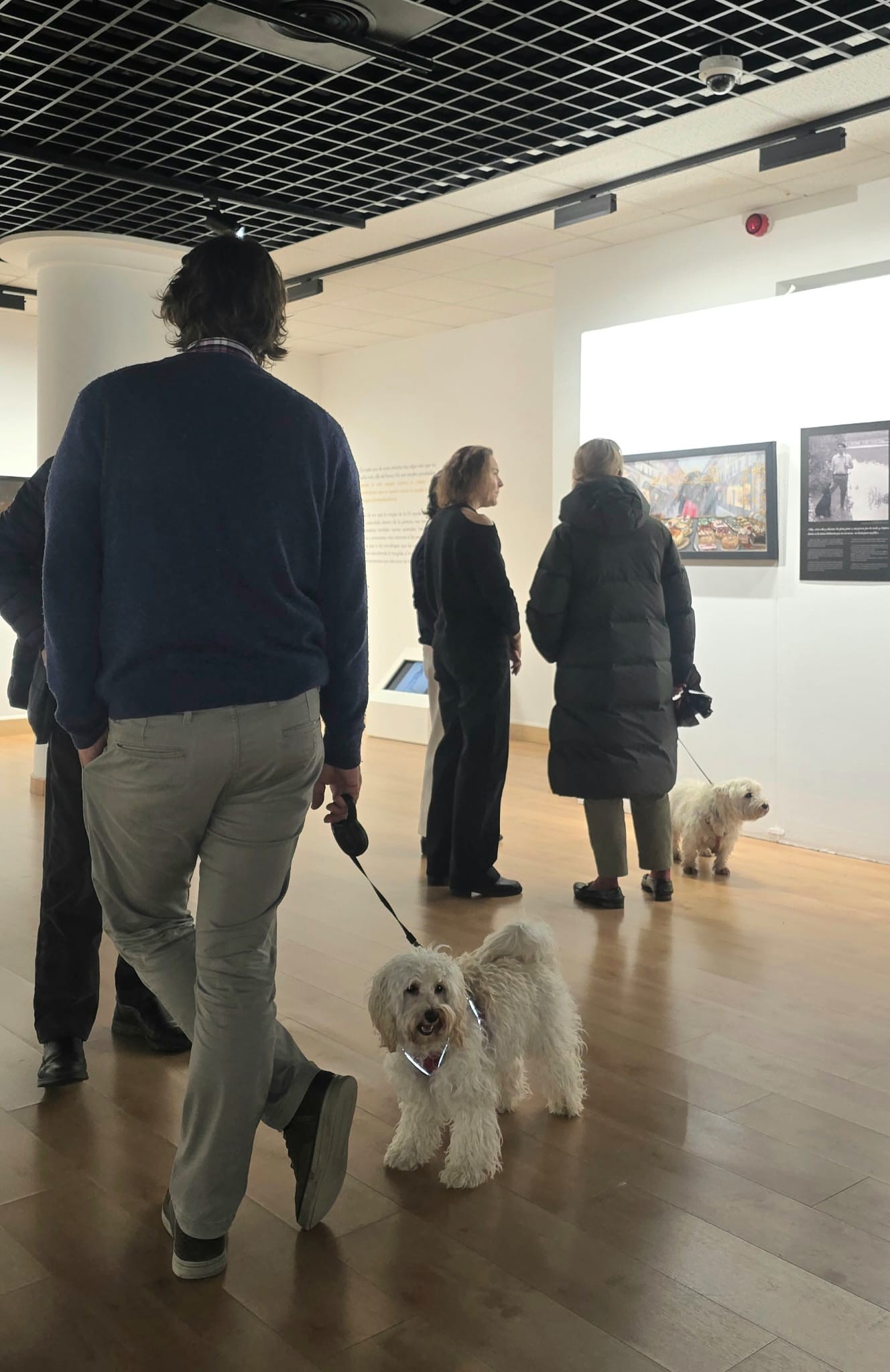 Exposición "Perros y Genios" en Pozuelo