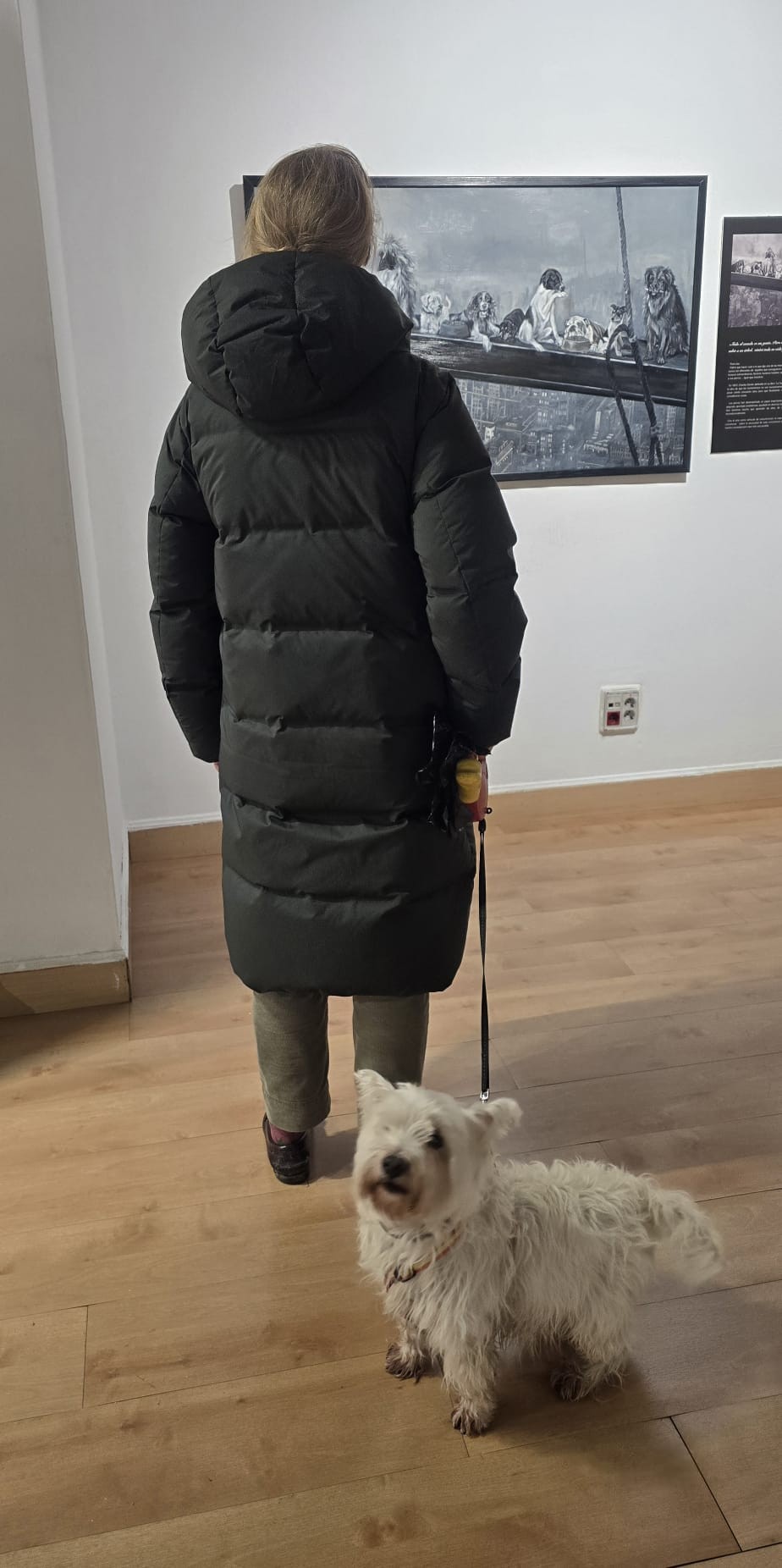 Exposición "Perros y Genios" en Pozuelo