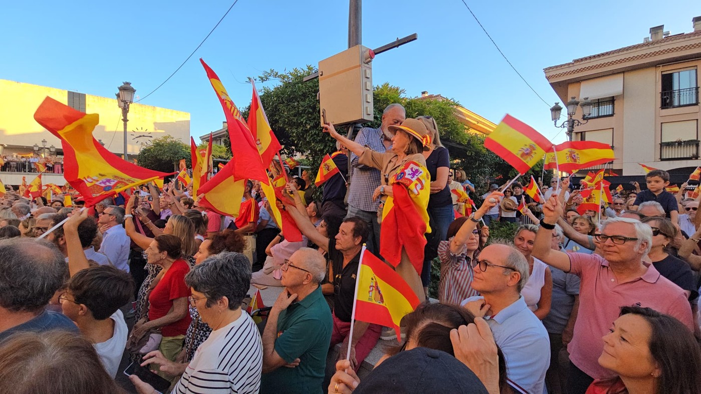 Pozueleros con banderas de España