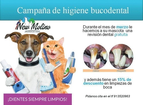 /media/revistas/articulos/fotos/pr/2021/03/14/la-importancia-de-una-buena-higiene-bucal-en-nuestras-mascotas_thumb.jpg